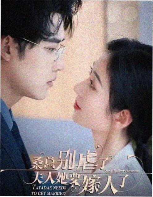 迷雾档案 剧集海报